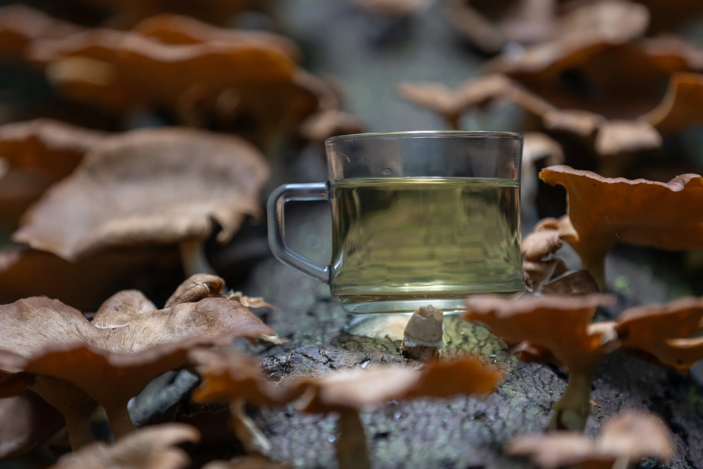 Enchanting White Tea Cigar
