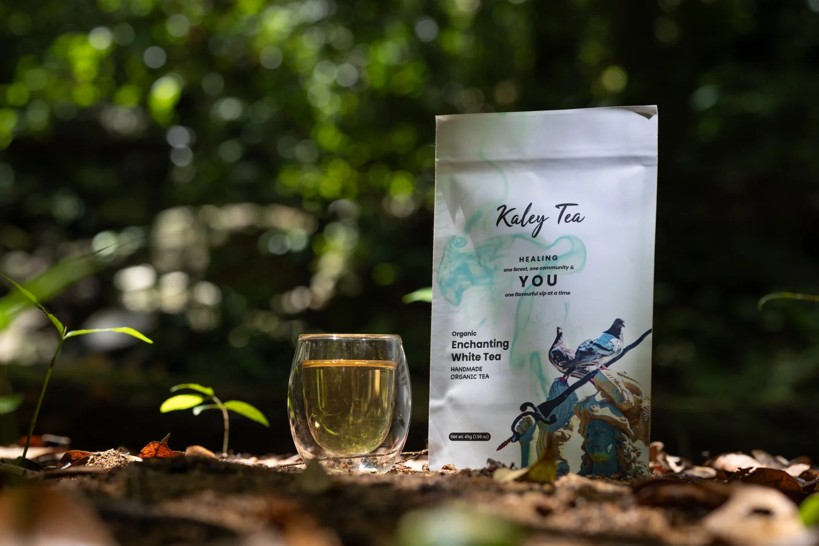 Enchanting White Tea