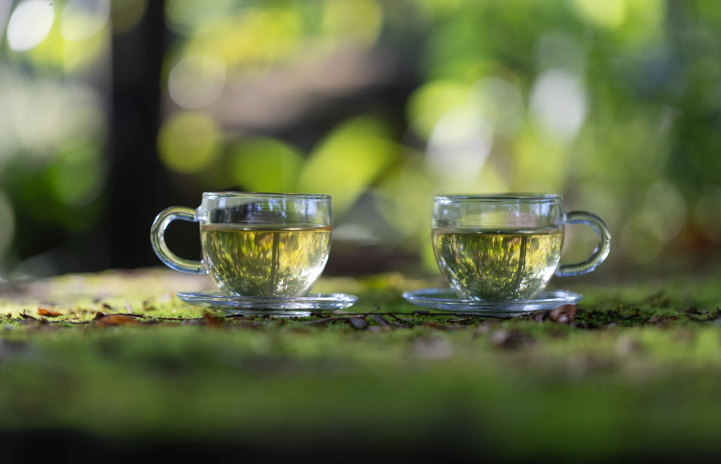 Graceful Green Tea