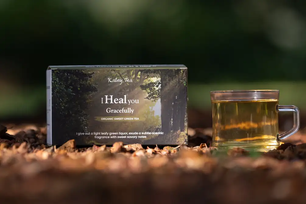 I Heal You Gracefully