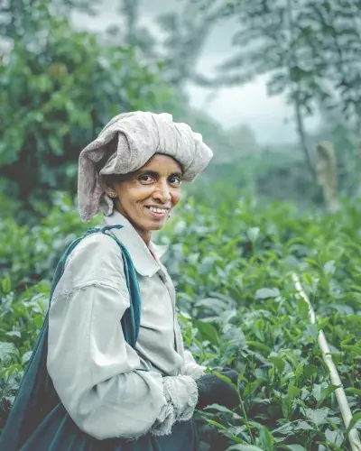 K.Ranjani