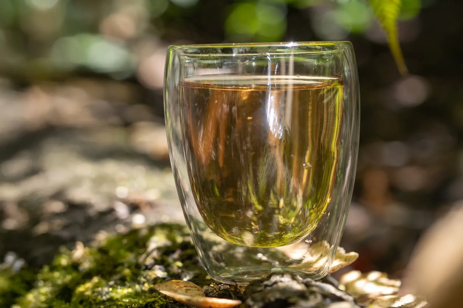 Oolong Tea Pearl