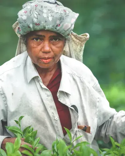 Panniya Selwam