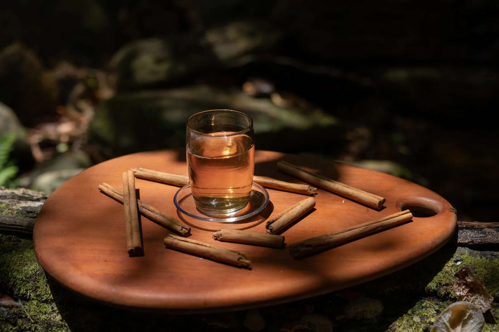 Powdered Cinnamon Tisane