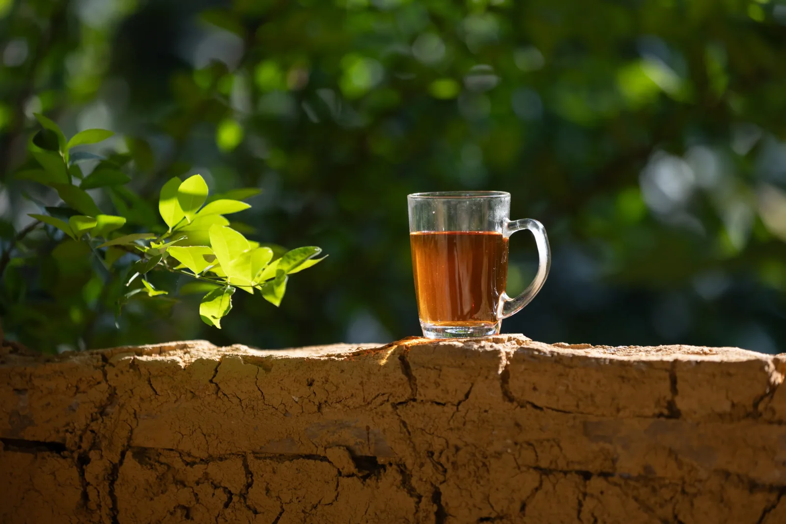 Sweet Spice Chai